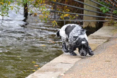 DSC_0531 (Large).JPG